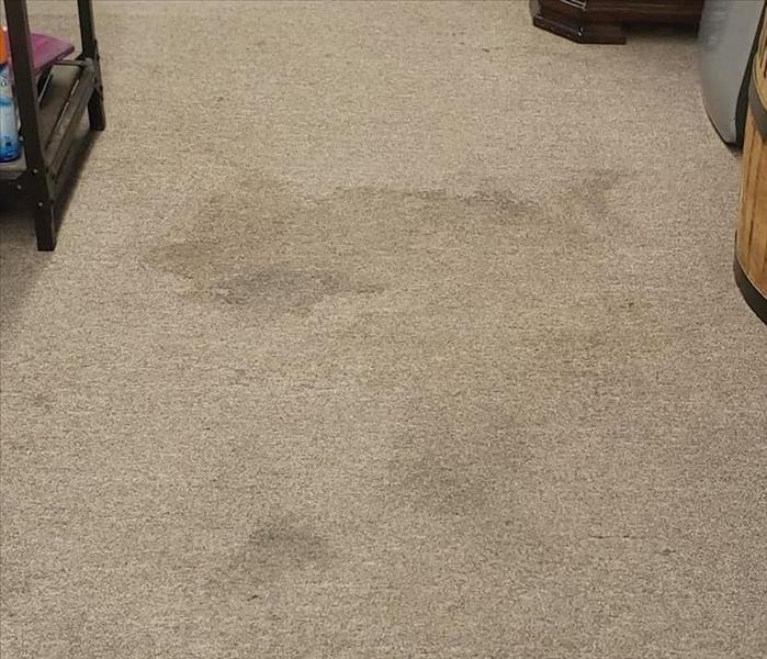 Dirty carpet before cleaning 