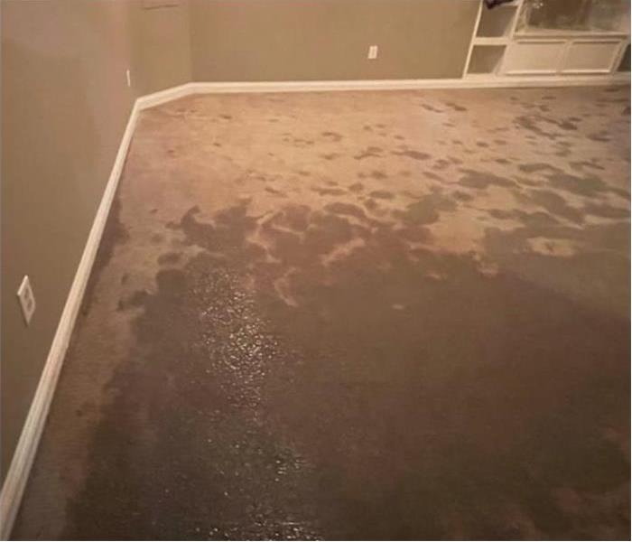 Flooded carpet 